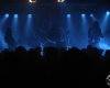 IMG_3848-Alcest_(800_x_600)